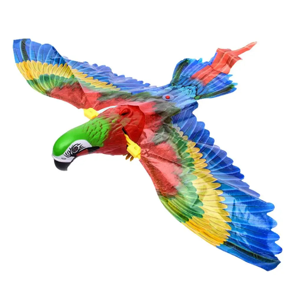 Interactive Cat Toys