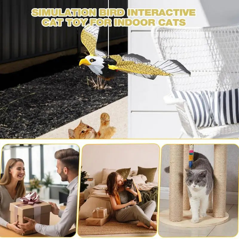 Interactive Cat Toys